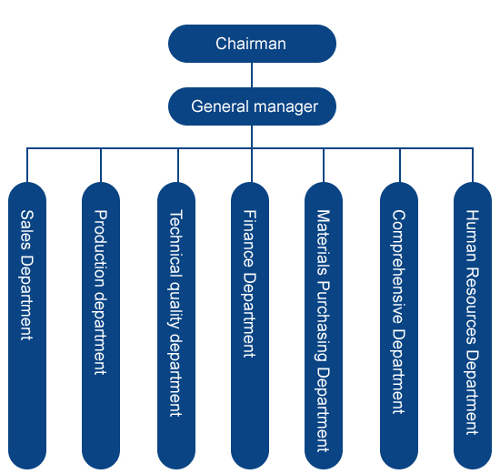 Organizational structure